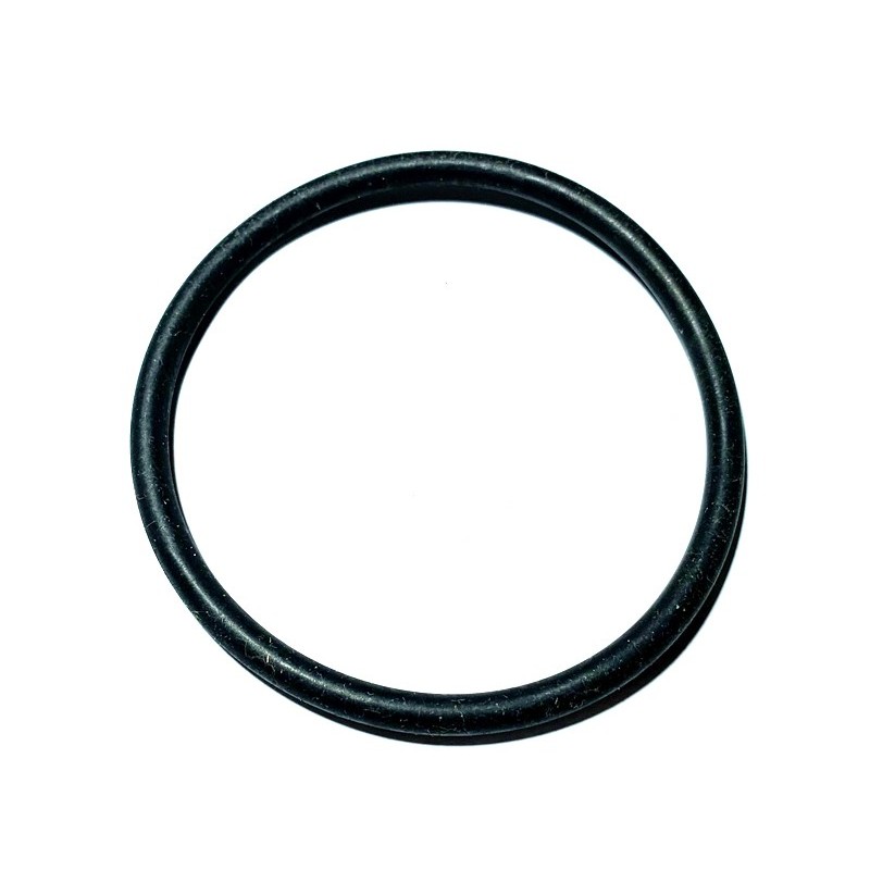 Anello O-Ring Originale BCS 38110766 Anello O-Ring Originale BCS 38110766