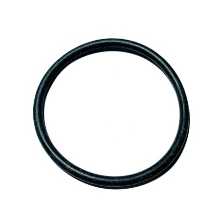 Anello O-Ring Originale BCS 38110766