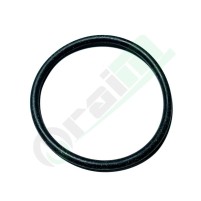 Genuine BCS 38110766 O-Ring Seal | Raim Store