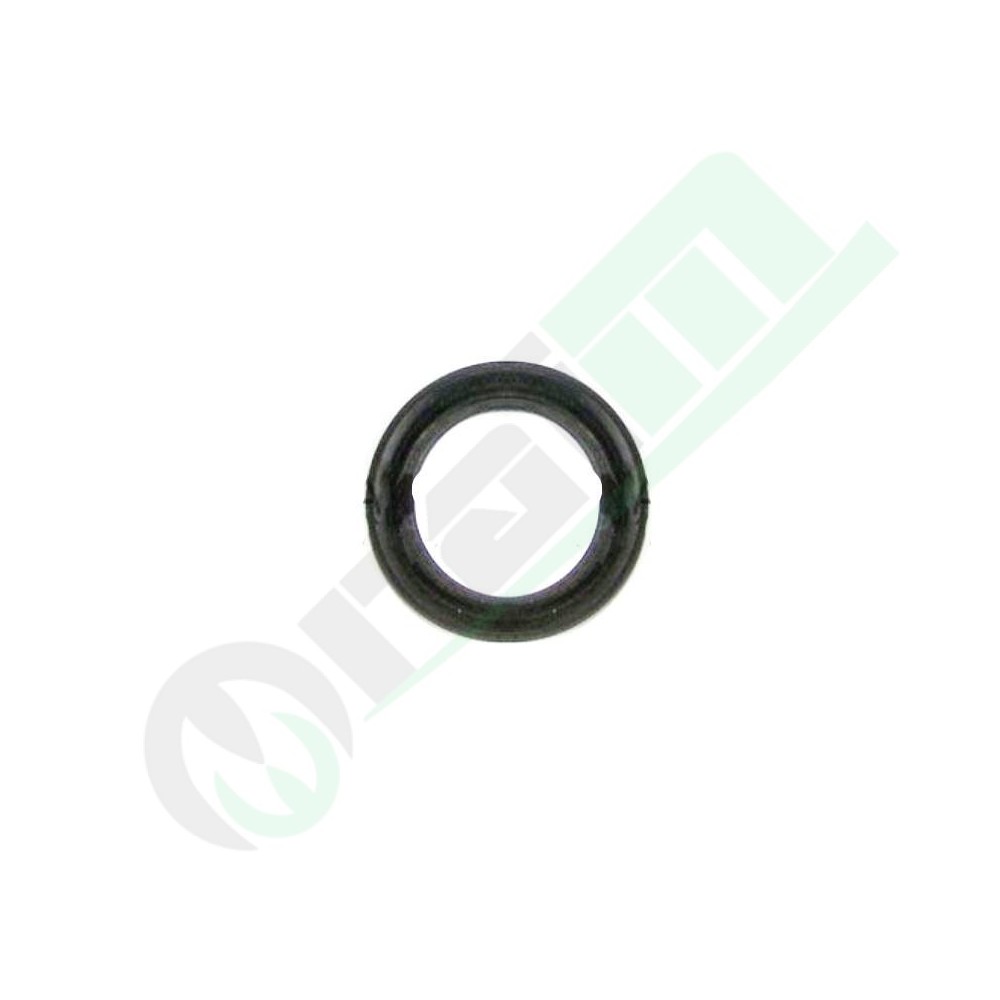 Anello di Tenuta Originale BCS 55120230 | Raim Store