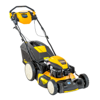 LM3 DR53es Self-Propelled Lawnmower 159cc Electric Start 4-in-1 | Cub Cadet