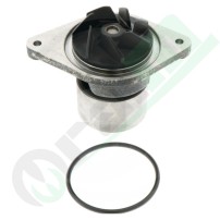 710239A2 Pompa Acqua Originale per Landini New Holland con Guarnizione