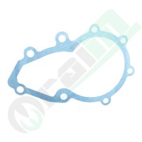 0.066.1752.0/30 Guarnizione Pompa Acqua per Trattori SDF Same, Lamborghini, Deutz-Fahr
