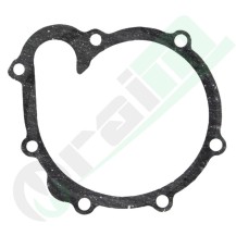 04198968 Water Pump Gasket for Deutz Tractors