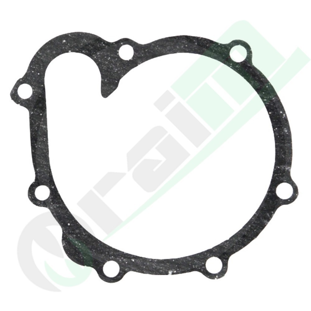 04198968 Water Pump Gasket for Deutz Tractors