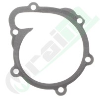 04202975 Guarnizione per Pompa Acqua Trattori Deutz