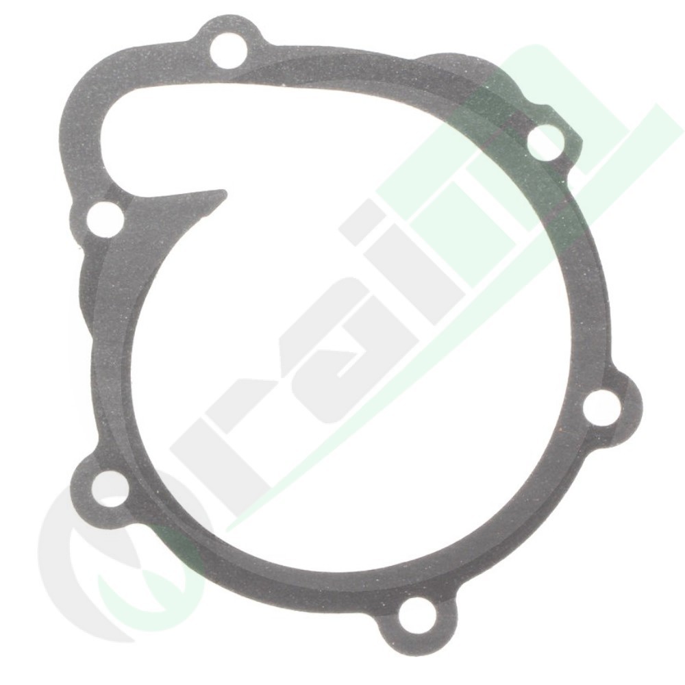 04202975 Water Pump Gasket for Deutz Tractors