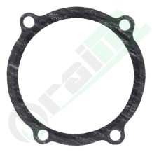 311782A1 Guarnizione per Pompa Acqua Trattori Case IH - McCormick