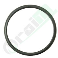 455025 Anello O-Ring per Pompa Acqua Trattori Case IH e New Holland