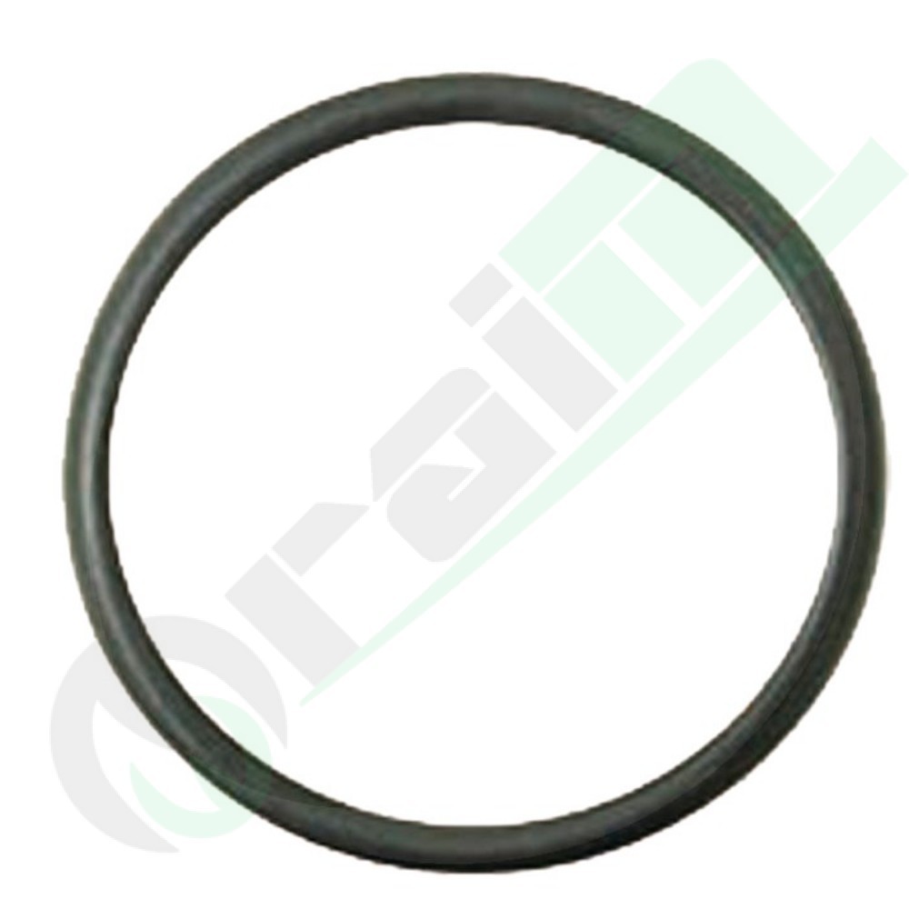455025 Anello O-Ring per Pompa Acqua Trattori Case IH e New Holland