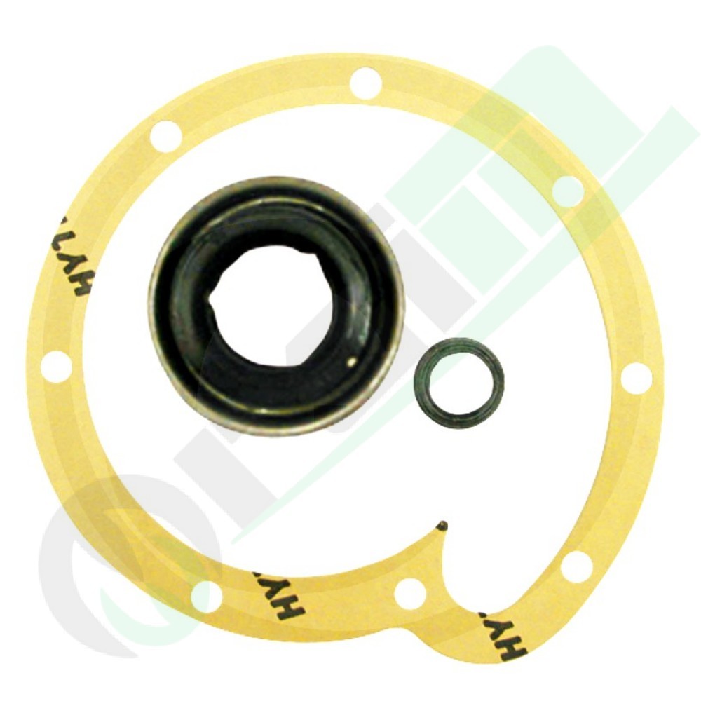 3055285R95 Water Pump Repair Kit for Case IH
