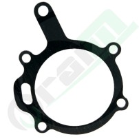 3118290R1 Guarnizione per Pompa Acqua Case IH