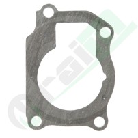 703816R4 Guarnizione per Pompa Acqua Case IH
