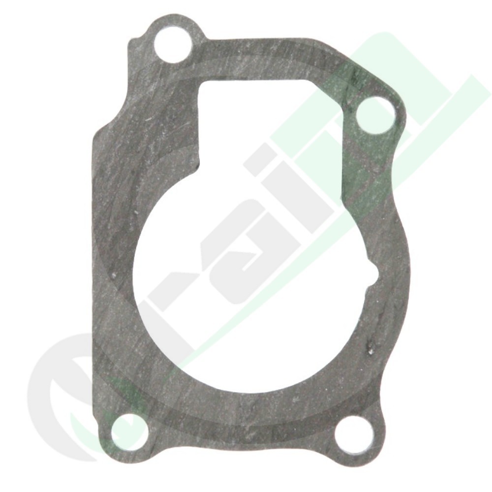 703816R4 Guarnizione per Pompa Acqua Case IH 703816R4 Guarnizione per Pompa Acqua Case IH