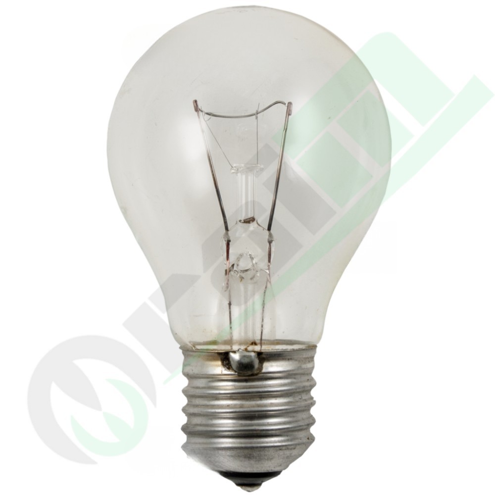 Lampadina Incandescenza 36128 | 24V 60W | Attacco E27 | 1 Luce