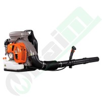 Kasei EB800 Soffiatore Professionale 201016 | Raim Store