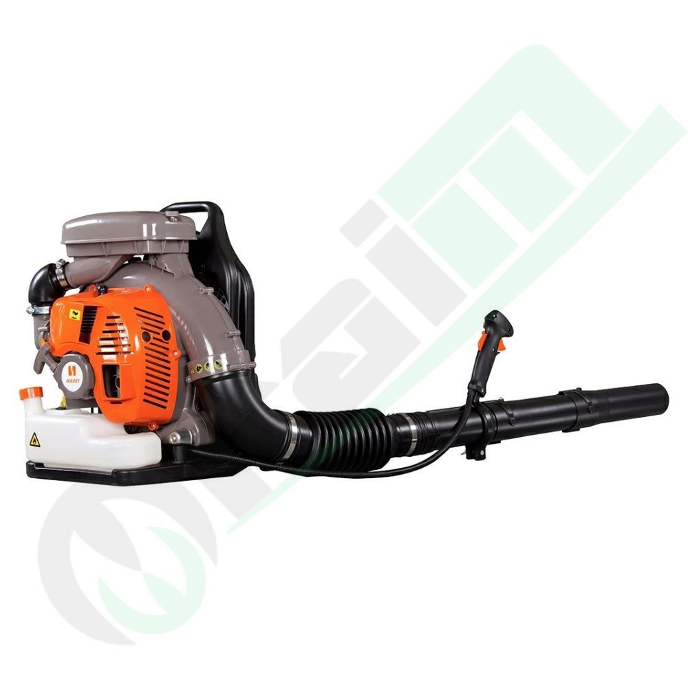 Kasei EB800 Soffiatore Professionale 201016 | Raim Store