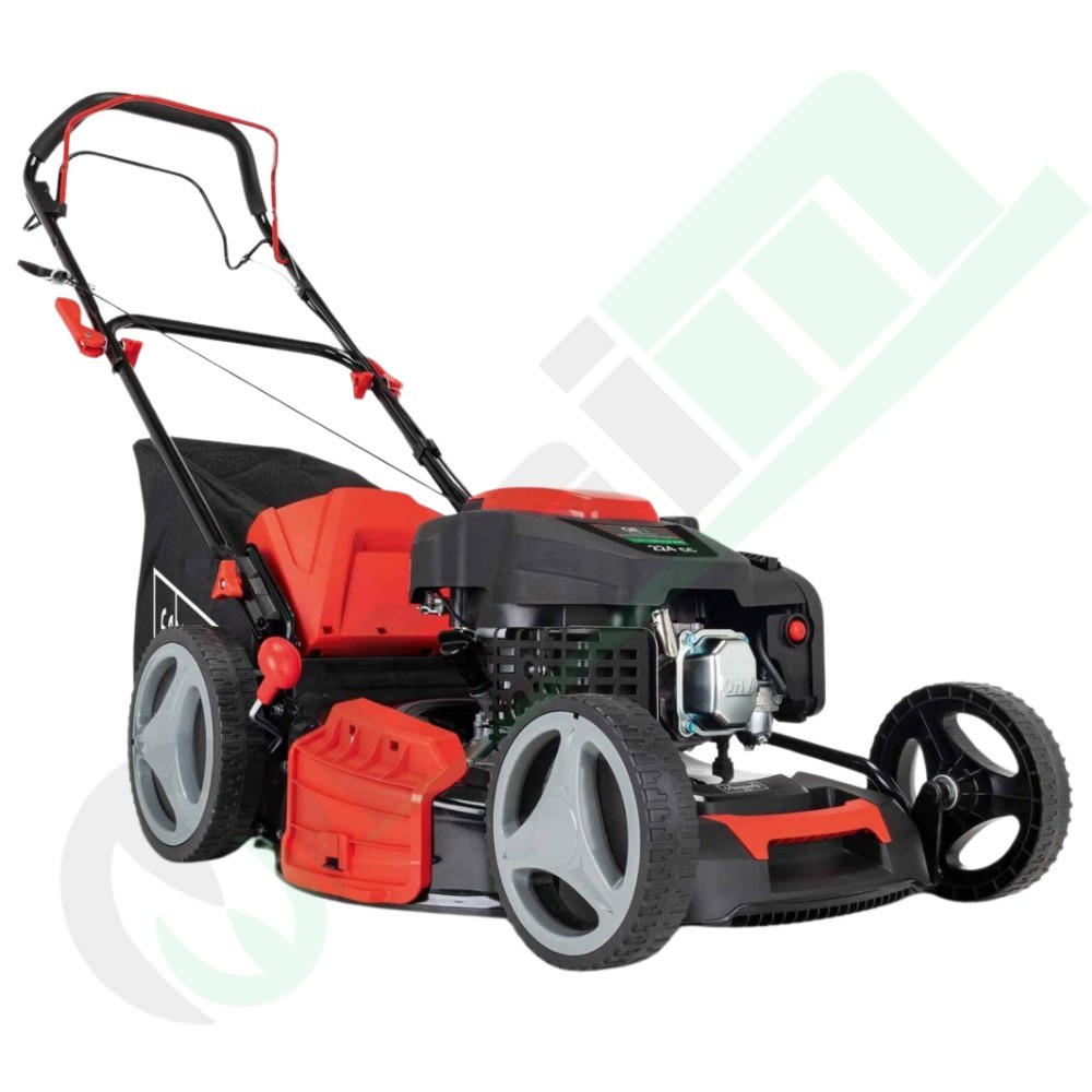 Rasaerba Semovente Scheppach MS225-53 - 224cc, 53cm, 6 HP | Raim Store