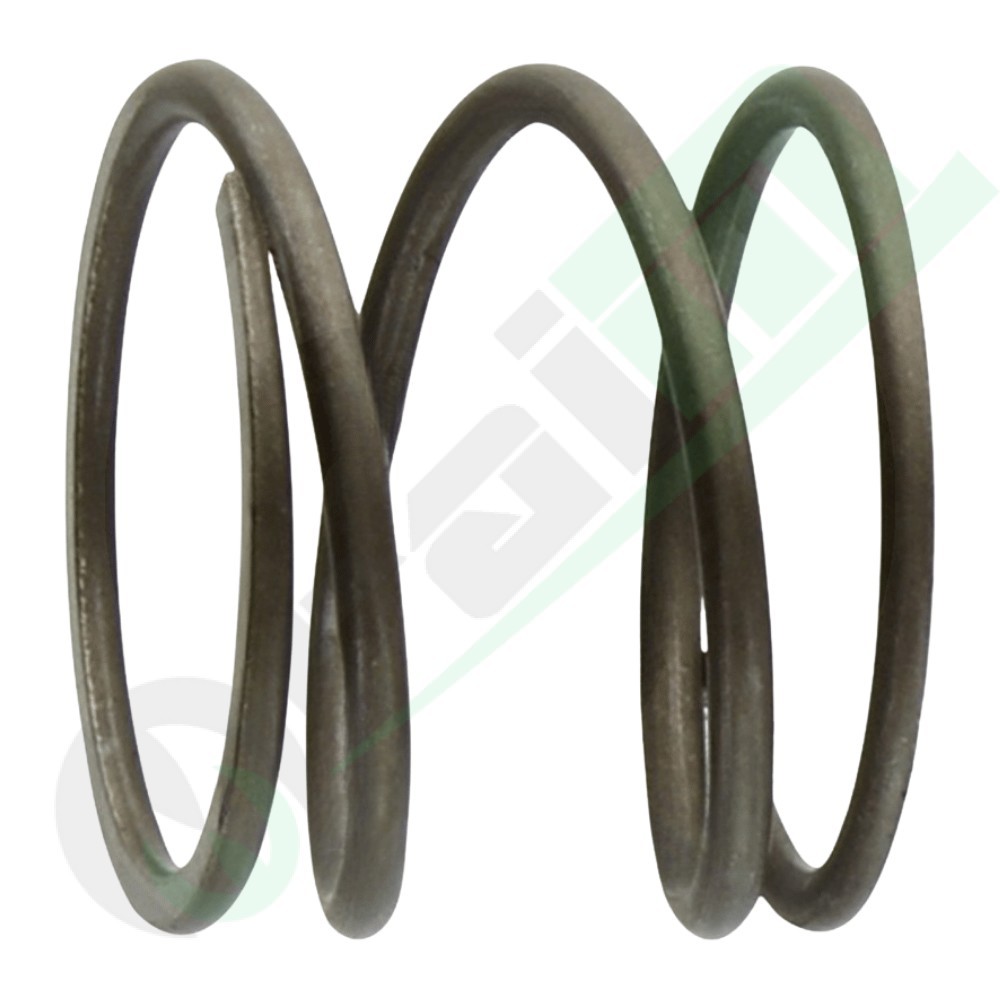 Molla di Compressione per Valvola EGR Codice 380060143 | Raim Store