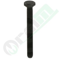 Vite M8x70 mm per Valvola EGR Codice 380060104 | Raim Store