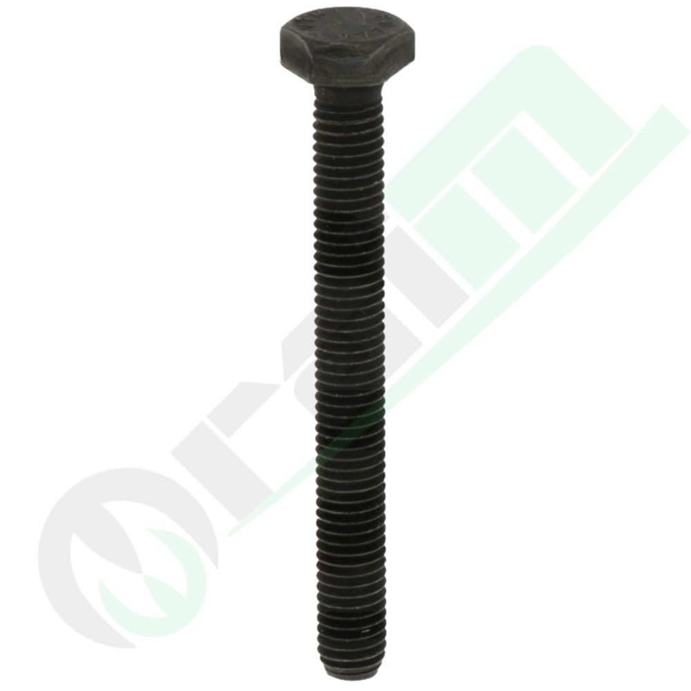 M8x70 mm Screw for EGR Valve Code 380060104 | Raim Store