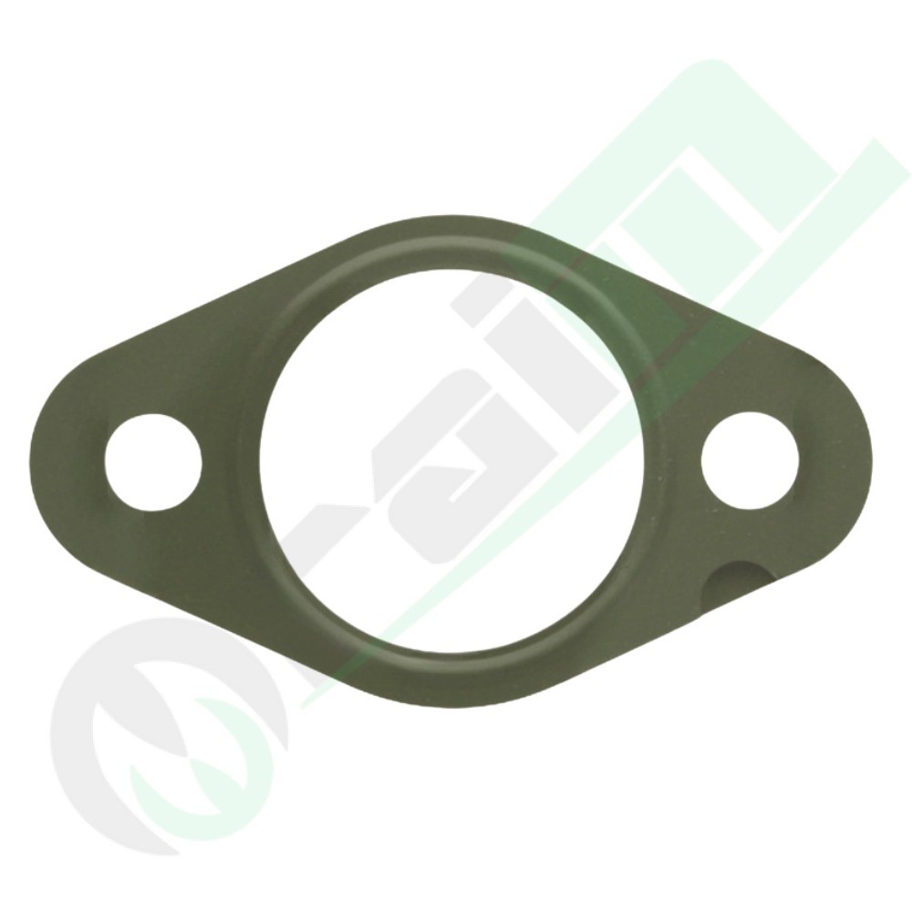 EGR Valve Gasket Code 380060146 | Raim Store
