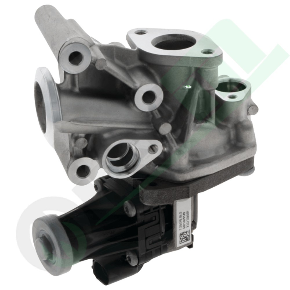 Valvola EGR PIERBURG Codice 38017879 | Raim Store
