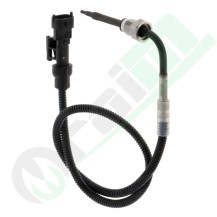 Angled Temperature Sensor 50 mm Code 38017883 | Raim Store
