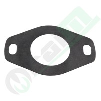 Flange Gasket Code 37412013 | Raim Store