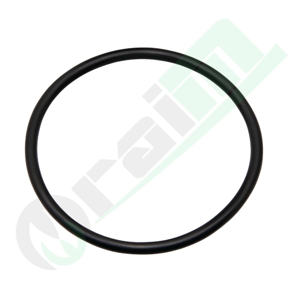 O-ring John Deere R128799 Code 380120190 | Raim Store