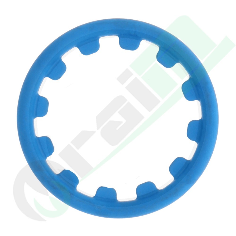 Anello di Tenuta 04122476 FPD00340 | Raim Store