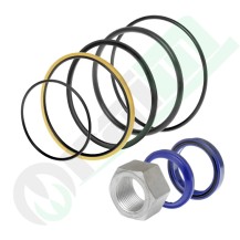 Kit Guarnizioni Pistone Scavo Bobcat 6817081 | Raim Store