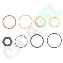 Bobcat Bucket Cylinder Gasket Kit 7137935 | Raim Store