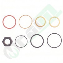Kit Guarnizioni Cilindro Benna Bobcat 7137935 | Raim Store
