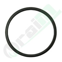 Guarnizione O-Ring John Deere T16318 T39177 38012400 | Raim Store