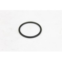 R151701 - Anello O-ring | Originale