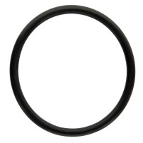 T122075 - Anello O-Ring | Originale