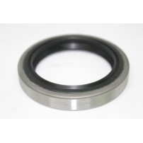 87802755 - Anello Tenuta