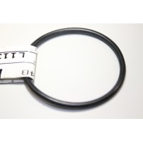L113396 - Anello O-ring | Originale