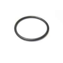 L55595 - Anello O-ring | Originale