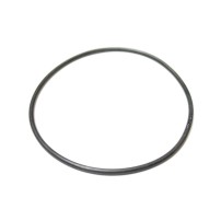 U44496 - Anello O-ring | Originale