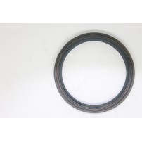 2.1529.510.0 - Anello Tenuta 100x120x12 | Originale