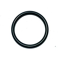 2.1530.066.0 - Anello O-Ring | Originale