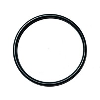 2.1530.116.0 - Anello O-Ring | Originale