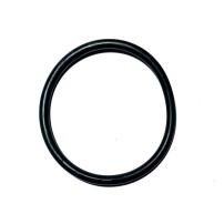 2.1530.114.0  - Anello O-Ring | Originale