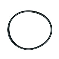 2.1530.198.0  - Anello O-Ring | Originale