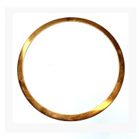 2.1569.078.0/10 - Guarnizione| Originale