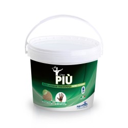 00003 Pasta Lavamani Linea Più 5kg Nettuno with microgranules