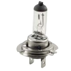 12V - 55W H7 Halogen Bulb