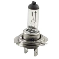 Lampadina 12V - 55W  H7 Alogena